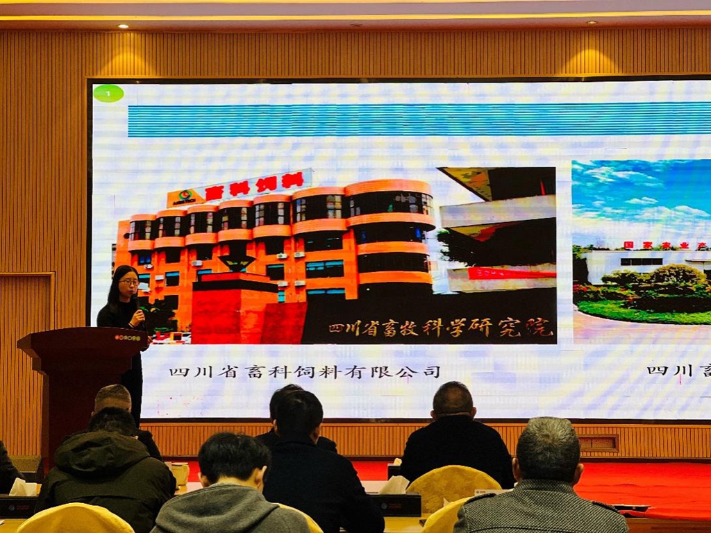 image005.jpg image005.jpg